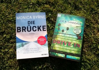 Neuzugang_Brücke_Drive-In